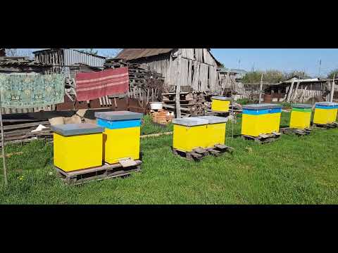 Видео: Ставлю перші магазини!
