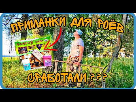 Видео: ПРОВЕРКА ЛОВУШЕК ИЮЛЬ 2022. ПРИМАНКИ ДЛЯ ПЧЁЛ СРАБОТАЛИ???⬇️