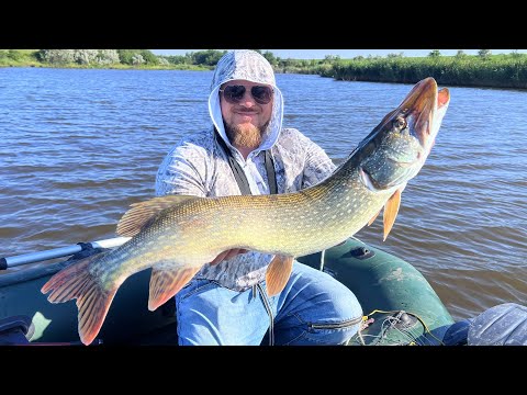 Видео: Щуки Монстри Розривають! Зламала спінінг, пробила човен, покусала руки!