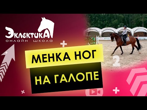 Видео: Менка ног на галопе. Перемена ног в 4,3 и 2 темпа. Выездка