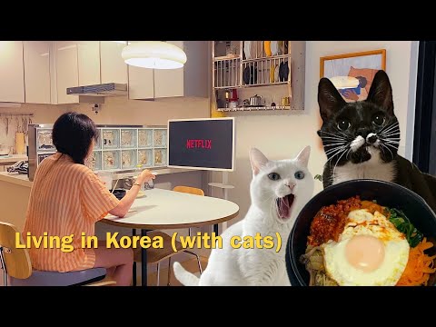 Видео: Корейский ежедневный влог 🇰🇷 | Коты, Dolsot Bibimbap и жизнь в квартире