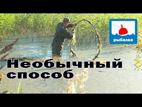 Видео: Необычный способ ловли на удочку в ряске_отчёт о рыбалке