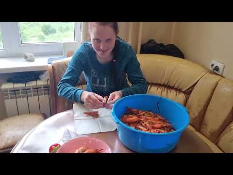 Видео: СБОР ЧИЛИМА РУКАМИ-ОХОТИМСЯ НА ЧИЛИМА-САХАЛИН 2023