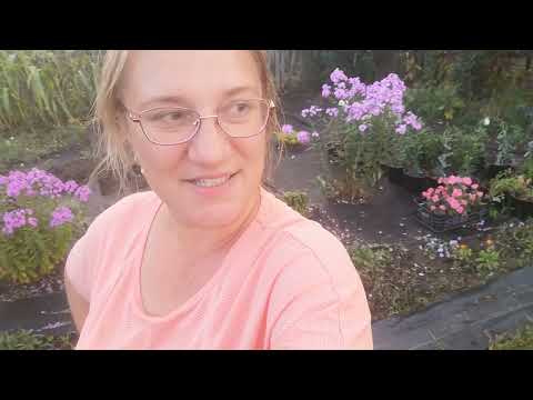 Видео: 15 и 16 августа. Продолжение.... 
