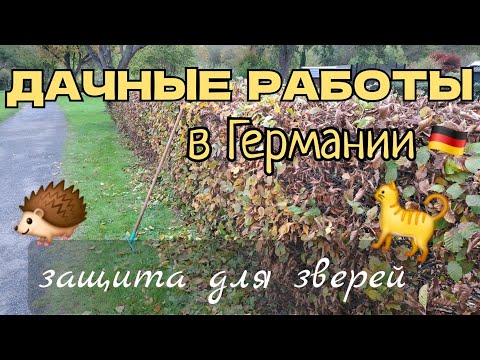 Видео: 🇩🇪Дачные отработки в Германии: штраф 100€ 🎁Покупки Rituals и уютный вечер🕯🍽 #дача #жизньвгермании