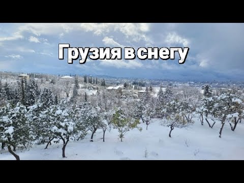 Видео: Грузия в снегу
