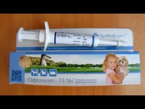 Видео: Лечении ушного чесоточного клеща у котов и собак.