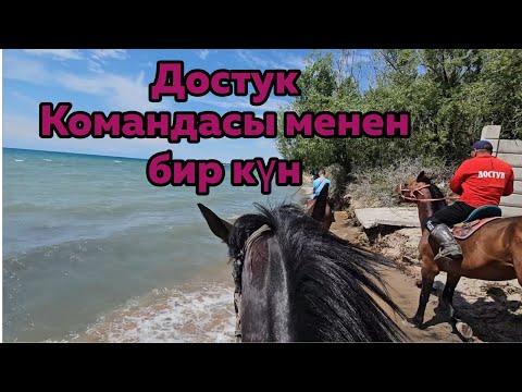 Видео: Достук командасы кызуу даярдыкта.