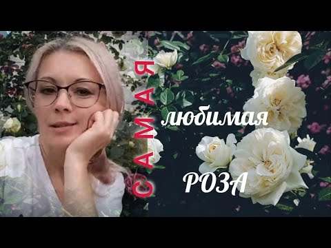 Видео: Vlog-168 Любимые сорта РОЗ🌹Первая волна цветения 2022 Помогите определить сорт, в конце ролика🙏🌞👒