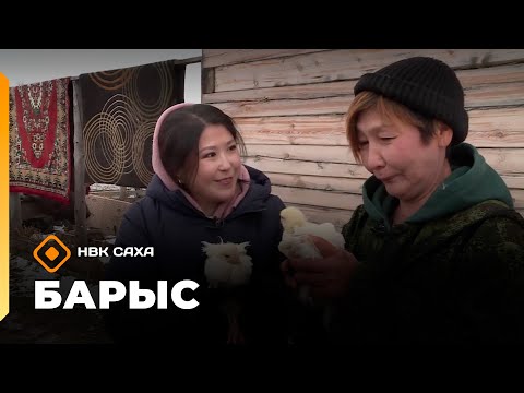 Видео: «Барыс»    (09.10.25)