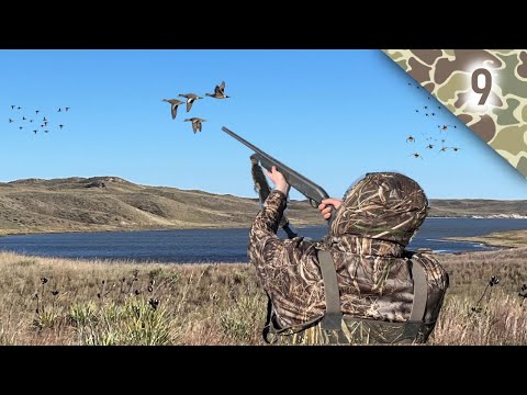 Видео: Охота на уток в дикой местности // Мой лабрадор Джорджи затмевает всех!