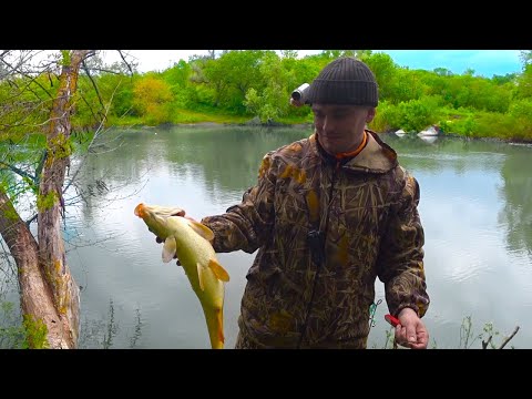 Видео: ЛОВЛЯ САЗАНА В ДИКИХ МЕСТАХ!!!