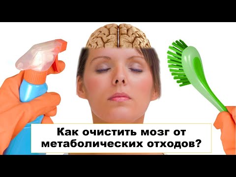 Видео: Как очистить мозг от метаболических отходов?