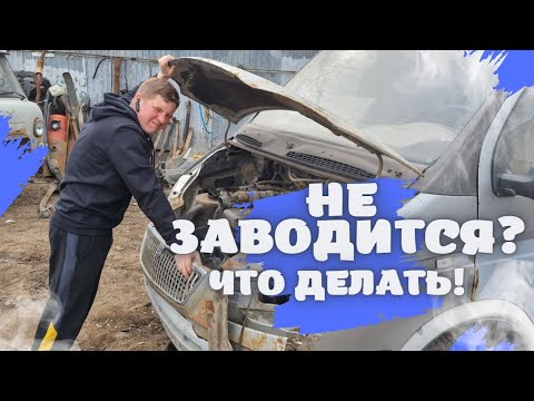 Видео: 🆘️ ЧТО ДЕЛАТЬ ЕСЛИ НЕ ЗАВОДИТСЯ ГАЗЕЛЬ, УАЗИК?!