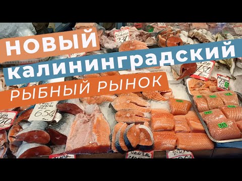 Видео: Новый калининградский рыбный рынок / Зоткингид