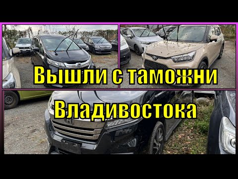 Видео: Прошли таможню и лабораторию на Toyota Raize 2020 \ Honda Stepwgn 2020 \ Honda Freed 2017