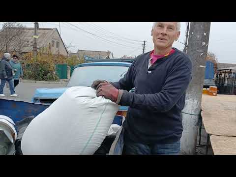 Видео: 8 ноября 2025 г.