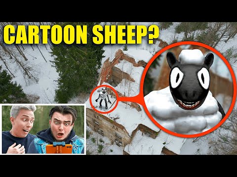 Видео: МОЙ ДРОН СНЯЛ КАРТУН ШИПА В ЗАБРОШЕННОЙ ДЕРЕВНЕ! **он существует**