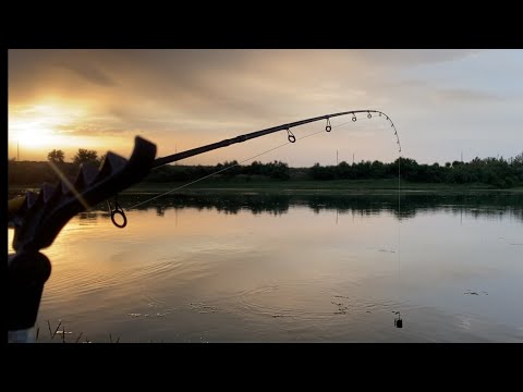 Видео: Рыбалка на Сырдарье! Мелодия !