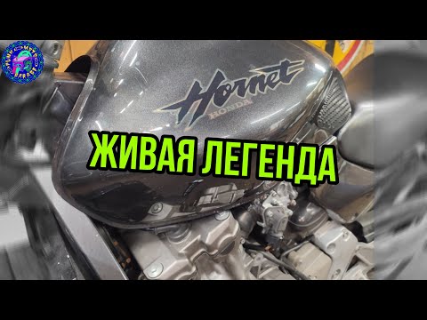 Видео: Обычное обслуживание Honda Hornet 600