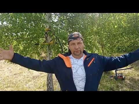 Видео: Ответы на основные вопросы от заказчиков абиссинской сважины