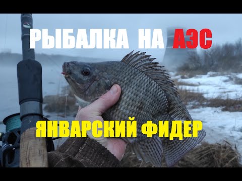 Видео: РЫБАЛКА НА АЭС. ТИЛЯПИЯ НА ФИДЕР. Рыбалка в Удомле. Tilapia. Fishing at the nuclear power plant