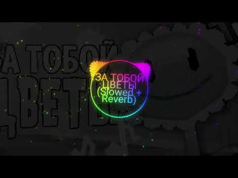 Видео: ЗА ТОБОЙ ЦВЕТЫ (Slowed + Reverb)