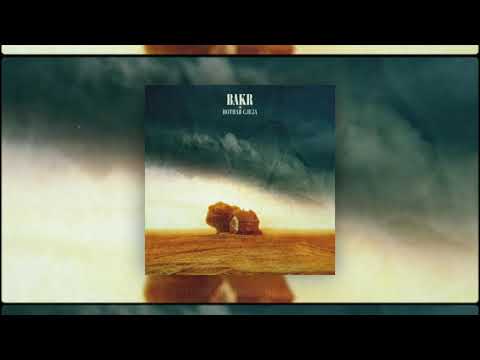 Видео: Bakr - Нотная слеза (Lyric Video)