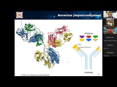 Видео: Лекція 04. Імунна система та імунодепресанти