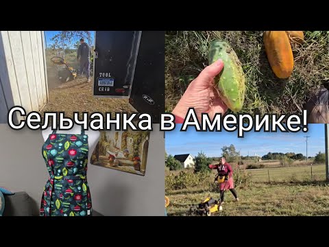 Видео: ВОЗЛЕ ДОМА РАБОТЫ ХОТЬ ОТБАВЛЯЙ!!! СЕЛЬЧАНКА В АМЕРИКЕ !