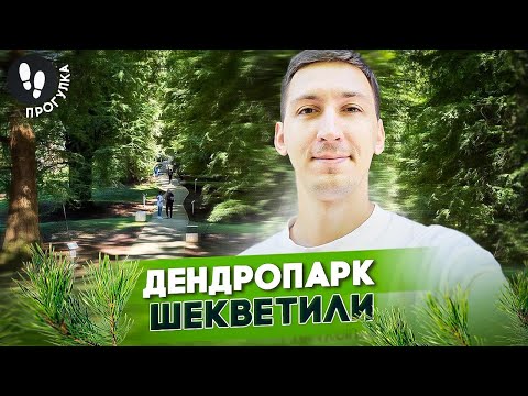 Видео: Прогулка по дендропарку Шекветили: история парка, новости Батуми, недвижимости и выборы