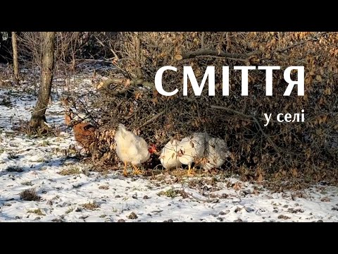 Видео: Побутові відходи у селі. Гілки, папір, тверді та не дуже види сміття