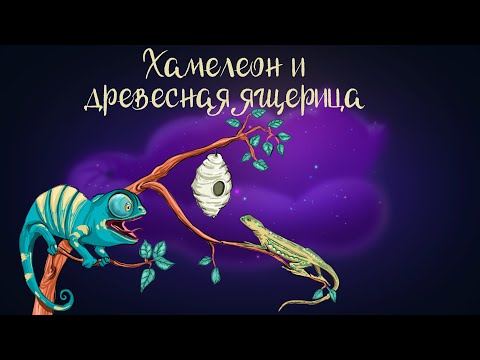 Видео: Африканская сказка "Хамелеон и древесная ящерица" | Аудиосказки для детей. 0+