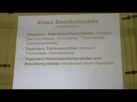Видео: Кураков А. В. - Низшие растения. Микология - 6. Подотдел Agaricomycotina