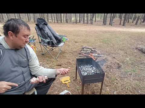 Видео: Наш простой выходной/осенний лес/а нам тепло и хорошо/отдыхайте душой с нами вместе