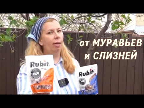 Видео: Если надоели слизни и муравьи смотрите это видео, чтобы раз и навсегда решить эту проблему🙌