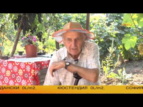 Видео: Царе на овошките