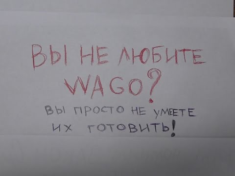 Видео: ВАГО с точки зрения инженера