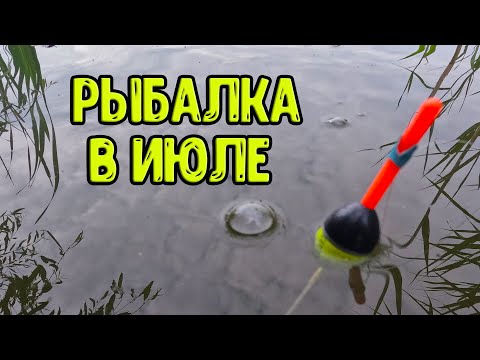 Видео: РЫБАЛКА НА ПОПЛАВОК в середине июля на речке.