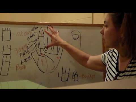 Видео: Уроки Хиромантии. Форма рук 3