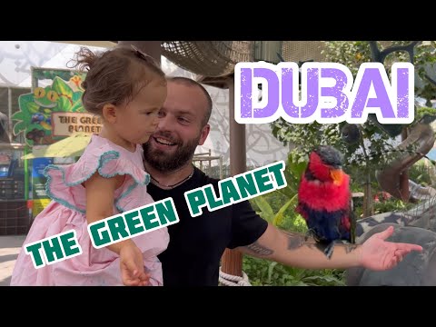 Видео: Vlog 5. The Green Planet Dubai. Сентябрь, 2024 год.