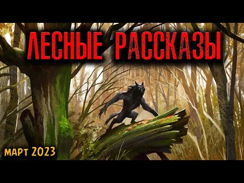 Видео: ЛЕСНЫЕ РАССКАЗЫ | Страшные истории
