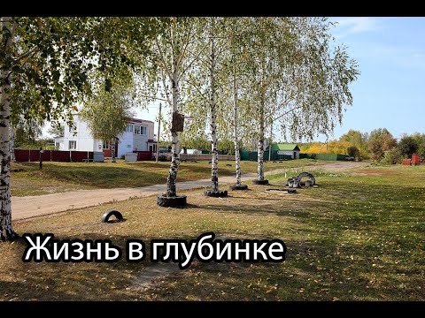 Видео: Жизнь в глубинке. Убираем морковь. Варим Сливуху. Деревенские будни