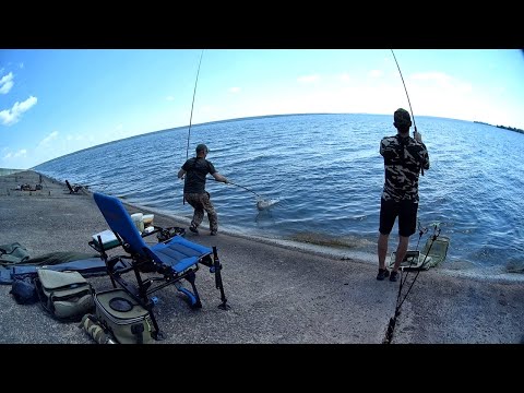 Видео: Отличный улов Крупный КАРАСЬ и ЛЕЩ. Рыбалка на водохранилище. Июль 2022.