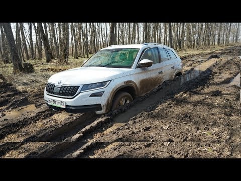 Видео: КТО ДОЕДЕТ до ДАЧИ?  AUDI A6 , ТИГУАН,  Skoda Kodiaq или Hyundai Santa Fe?
