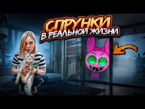 Видео: СПРУНКИ В РЕАЛЬНОЙ ЖИЗНИ В НАШЕМ ДОМЕ С КОТОМ И СОБАКОЙ