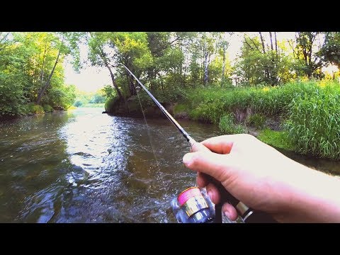 Видео: Та самая поклёвка! Крупный голавль на поверхностный воблер! Малая река!