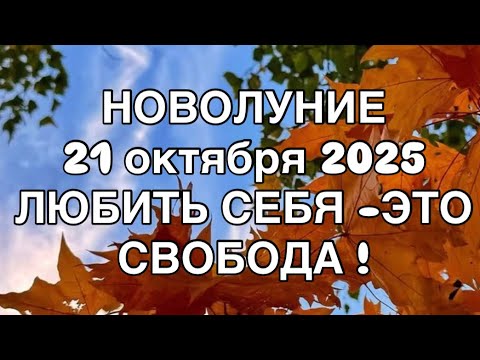 Видео: ПРОГНОЗ  НА НОВОЛУНИЕ 21 ОКТЯБРЯ  2025 |ПРОСТИТЬ СЕБЯ - ЭТО ОБРЕСТИ ПОКОЙ |  ОТ NATALLIA MARKOWSKA