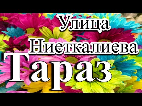 Видео: Тараз (Джамбул) Юбилейный #тараз #джамбул