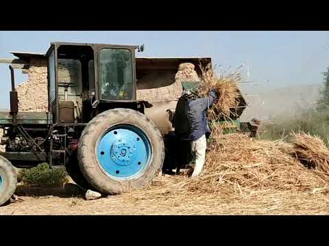 Видео: Мини комбайн барои гандум.